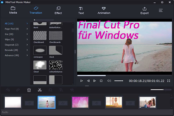 Die 6 wichtigsten Alternativen zu Final Cut Pro für Windows(Effektiv und Einfach)