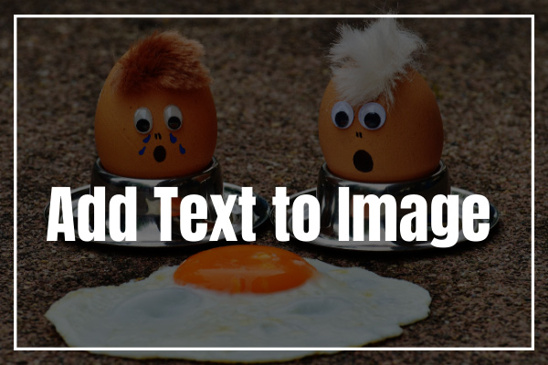 Solved – How to Add Text to Image [Ultimate Guide]