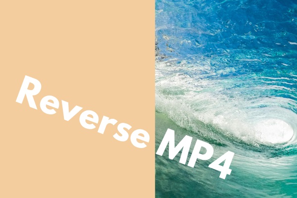 5 Best Free MP4 Reversers to Reverse MP4 Videos