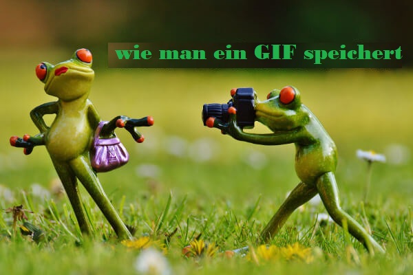 So speichern Sie ein GIF von GIPHY/Twitter/Pixiv/Google