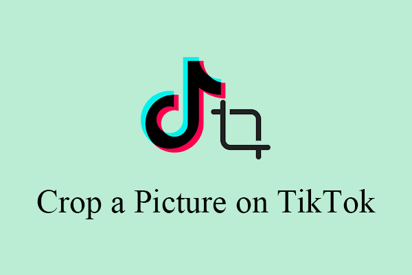 How to Crop a Picture on TikTok & Photo Crop Challenge