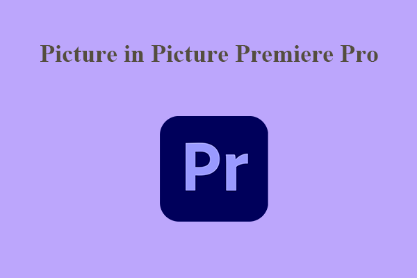 How to Do Picture in Picture Premiere Pro?