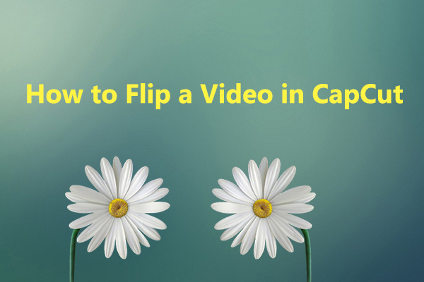 How to Flip & Rotate a Video in CapCut [Mobile and Desktop]