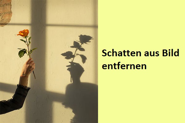 Schatten entfernen: Wie man Schatten aus einem Bild entfernt