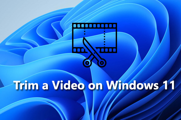 How to Trim a Video on Windows 11 - 5 Quick Methods