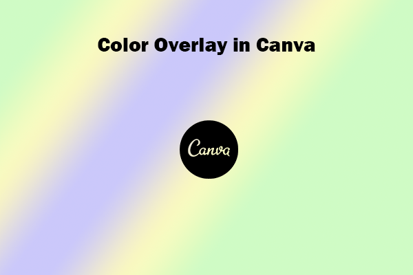 How to Add a Color Overlay in Canva – Step-by-Step Guide