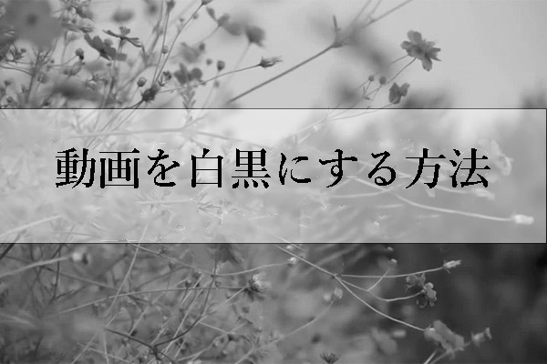 動画を白黒（モノクロ）にする6つの方法