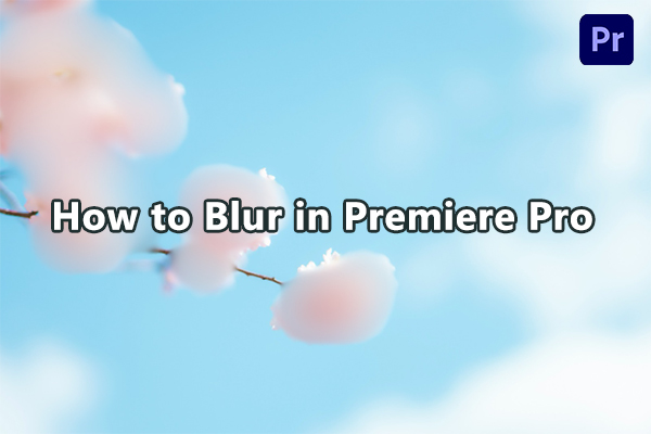 How to Blur in Premiere Pro: Step-by-Step Guide