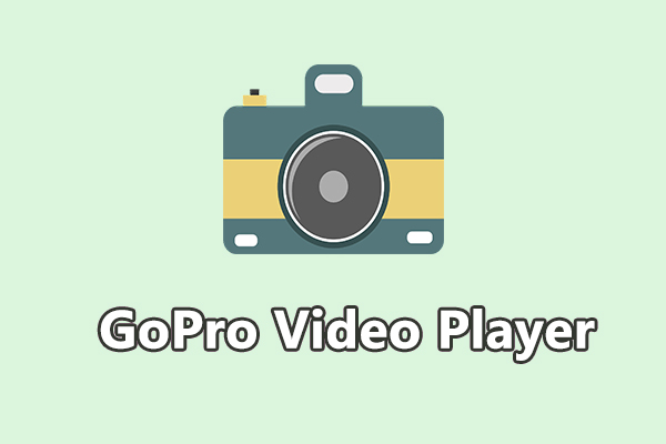 Bester GoPro Video Player für Windows 10 & 11