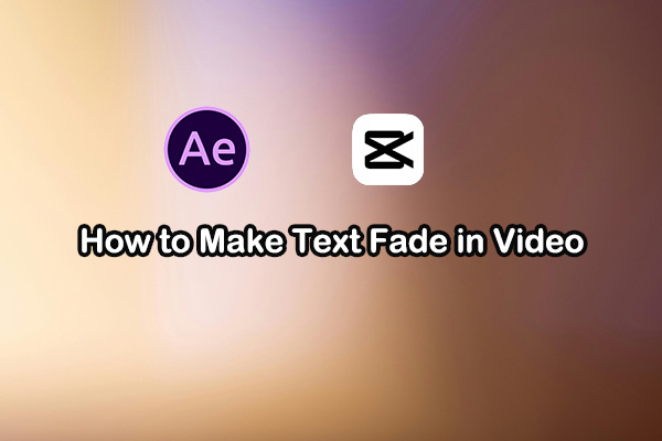 A Beginner's Guide on How to Make Text Fade in Video