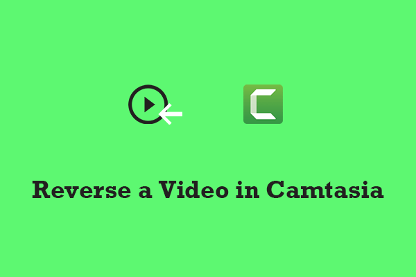 Discover the Best Way to Reverse a Video in Camtasia