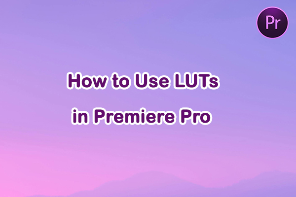 How to Use LUTs in Premiere Pro: A Complete Guide You Can’t Miss